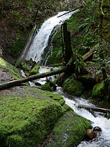 Coal Creek Falls