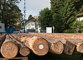 English: Timber rafts as a tourist attraction are normally assembled daily anew. Here you can see the landing in Wolfratshausen (Schrederleiten) in the morning in which the construction takes places on the river Loisach in the season from May to August. The necessary replacement blogs are stored nearby. Deutsch: Holzflöße als Touristenattraktion werden normalerweise täglich neu zusammengebaut. Hier kann man die Ablegestelle Wolfratshausen (Schrederleiten) am Morgen sehen, an der auf der Loisach in der Saison von Mai bis August der Zusammenbau geschieht. Die notwendigen Ersatzstämme werden in der Nähe gelagert.