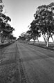Corrigin Road chụp bằng Leica MP