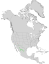 Cupressus arizonica sensu lato range map 0.png