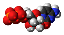 Tsitidin difosfat molekulasining anion (3-anion) sifatida bo'shliqni to'ldirish modeli