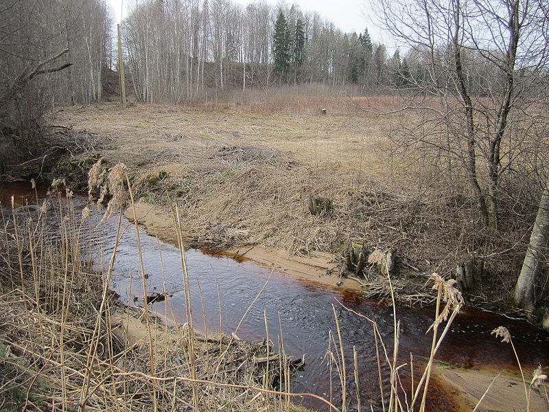 File:Dēliņnurga ar Ķoderu pilskalnu ( Lielā Vīra gulta) fonā.JPG