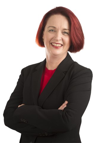 <span class="mw-page-title-main">Deborah Russell</span> New Zealand politician