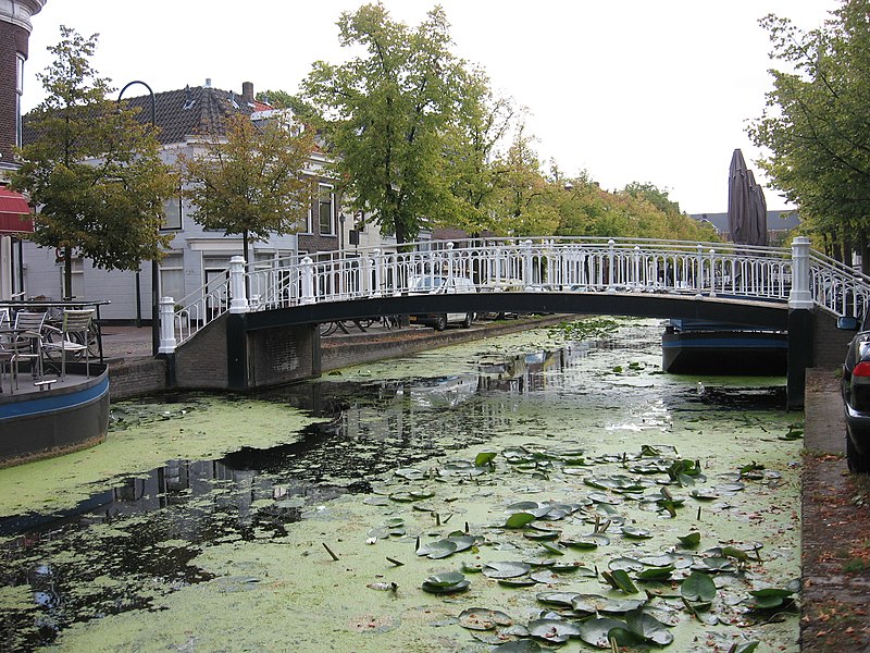 File:Delft - Rapenbloembrug.jpg