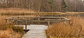 Delleboersterheide – Catspoele Natuurgebied van It Fryske Gea. Omgeving van Catspoele.