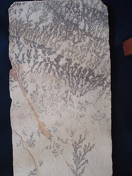 File:Dentritic-quartzite.jpg