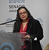 Diana Maffía expone sobre el aborto en el Senado argentina, 2018.jpg