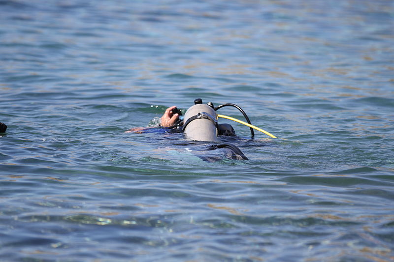 File:Disabled veteran Sammy Lugo dives in Guantanamo Bay, Cuba 150216-Z-JY573-0368.jpg