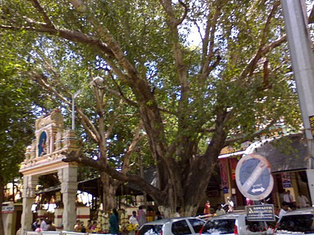 Entrance to the Ganesha temple Dodda Ganeshana Gudi Hindu temple, Basavanagudi, Karnataka, India2.jpg