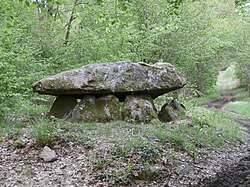 Ilustrační obrázek článku Dolmen de Ponsat