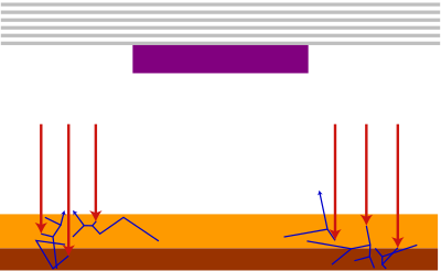 Extreme ultraviolet lithography
