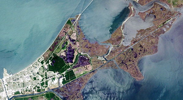 A Landsat view of New Orleans East. Note that dense development occurs exclusively in the western portion of eastern New Orleans; the remaining land i