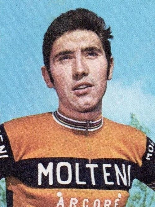 Merckx in 1971