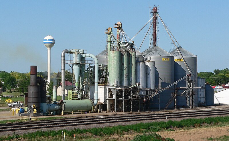 File:Elm Creek, Nebraska alfalfa plant.JPG