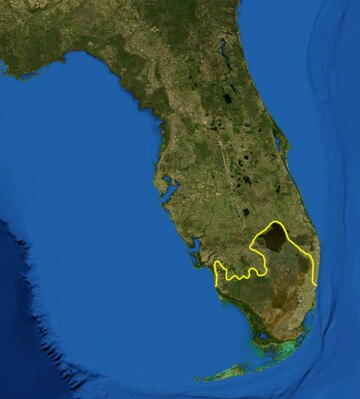 Fitxer:Everglades_ecoregion.jpg