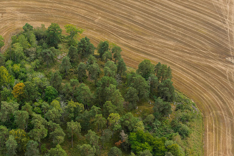 File:Färingsö September 2014 01.jpg