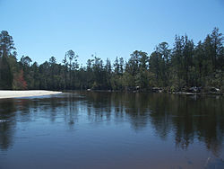 FL Blackwater River SP02.jpg