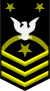Fleet Master Chief Petty Officer