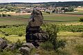 Přírodní rezervace Fehhaube-Kogelsteine