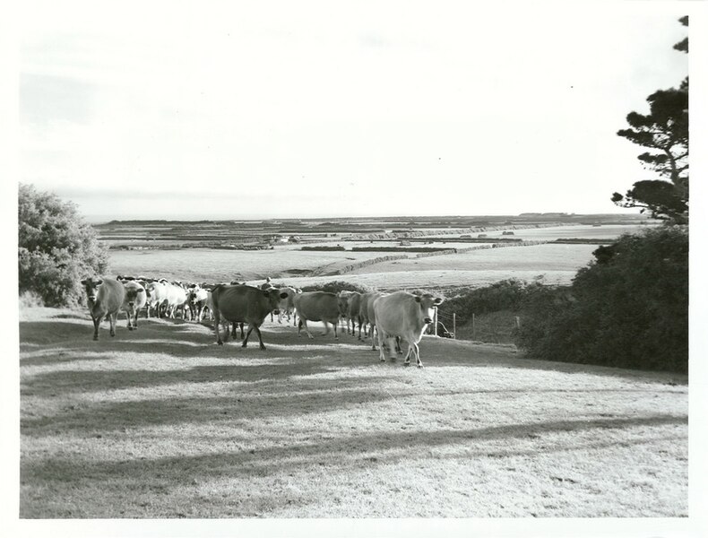 File:Feilding Agricultural High School (2).jpg