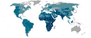 Felinae Subfamily of carnivores