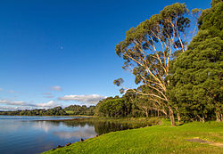 Rezervoar Fitzroy Falls.jpg