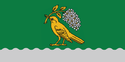 Viļānu novada karogs