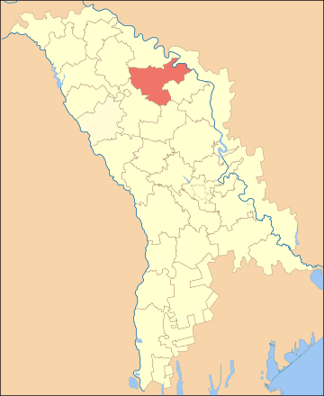 Florești District