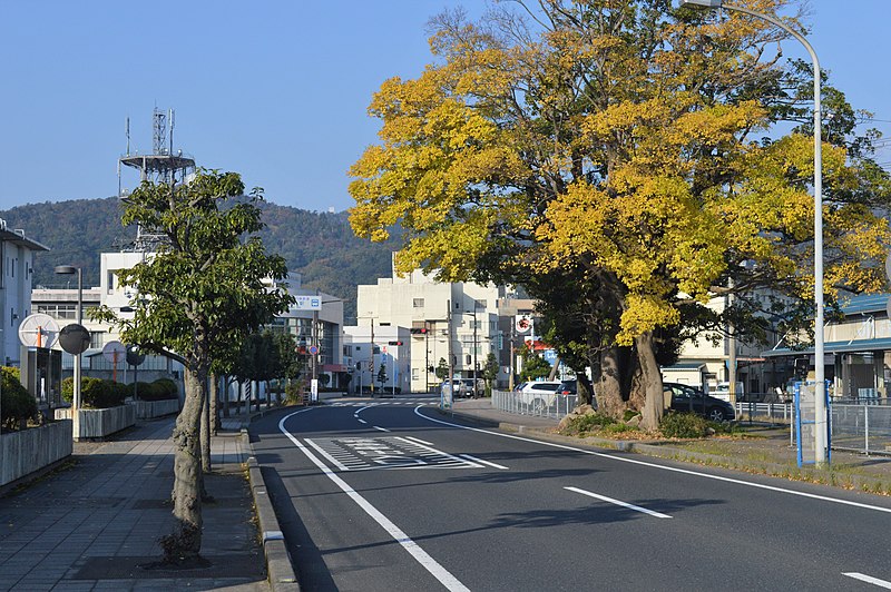 File:Fraxinus mandshurica var. japonica on Miyazu city.jpg