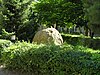 Pomnik przyrody – granitowy głaz narzutowy przy ulicy Spółdzielców