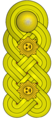 General de division[29] (Venezuelan Army)