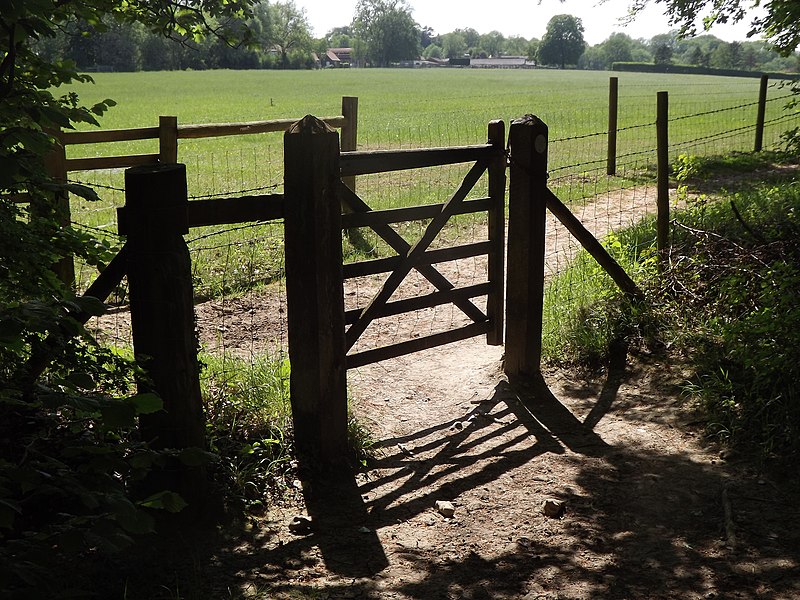 File:Gate at Sheepleas - geograph.org.uk - 2963759.jpg