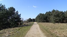 Der Elbwanderweg bei Krümmel