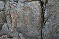 Gneis mit kleinräumigen Verformungen, Westküste von Great Bernera.jpg