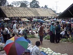 Papúa Nueva Guinea: Etimología, Historia, Política