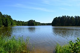Grūdos ežeras, žvelgiant nuo Lietuvos kranto link Gudijos