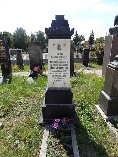 File:Grave of Anatoly Dobrodetsky (3).jpg