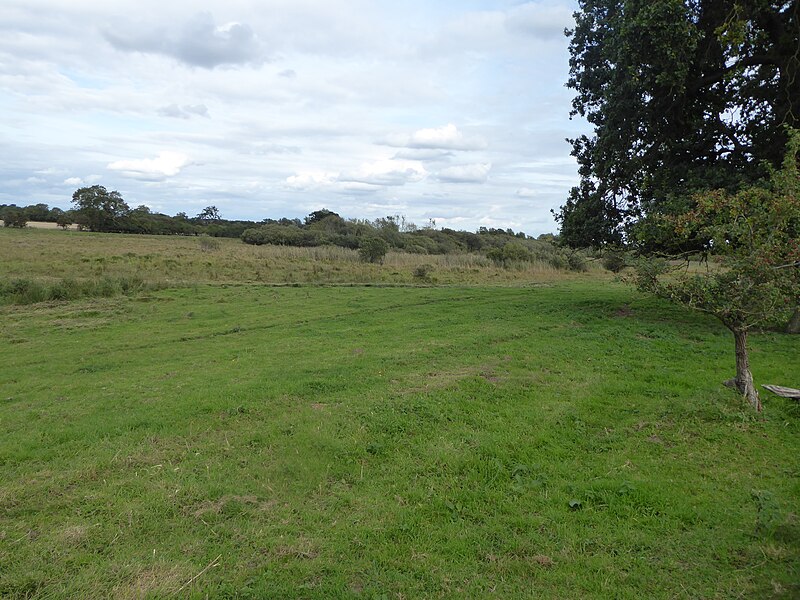 File:Great Cressingham Fen 2.jpg