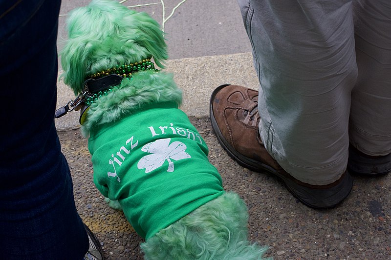 File:Green Dog (46483755615).jpg