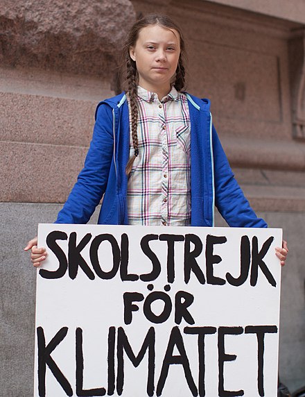 スウェーデン議会の前で、「Skolstrejk för klimatet」（ 気候のための学校のストライキ ）サイン、ストックホルム 、2018年8月