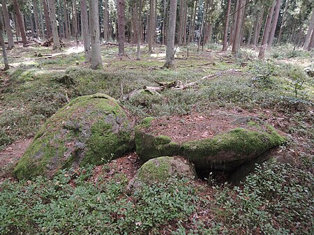 Großsteingrab Glüsingen p2