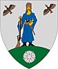 Coat of arms of Visnye