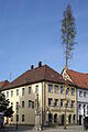 Maibaum in Haßfurt, (Franken)