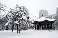 Heavy snow in Seoul, 4 Jan. 2010 - Covered the park with snow.jpg