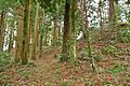 隠岐の島町 平神社古墳（46m：隠岐最大）