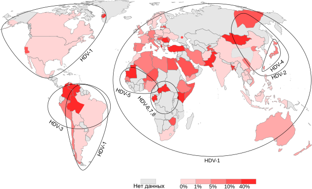 bot fly map