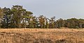 * Nomination Hiking in autumn by Wijnjeterper Schar. Raw biotope in autumn colors. --Agnes Monkelbaan 05:47, 6 November 2017 (UTC) * Promotion Good quality. --Poco a poco 06:20, 6 November 2017 (UTC)