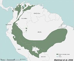 Caoba - Wikipedia, a enciclopedia libre