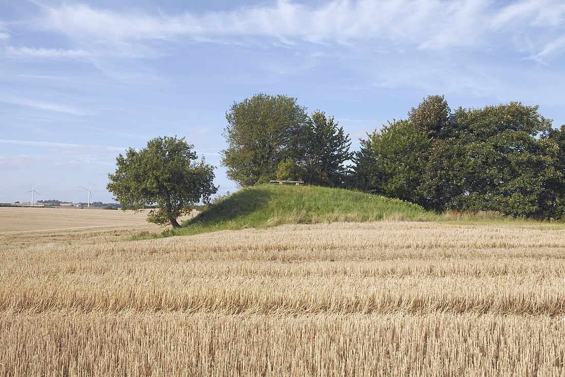 Hjortshøj (plaats)