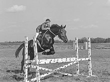 Horse racing in Zaporizhia Oblast.jpg